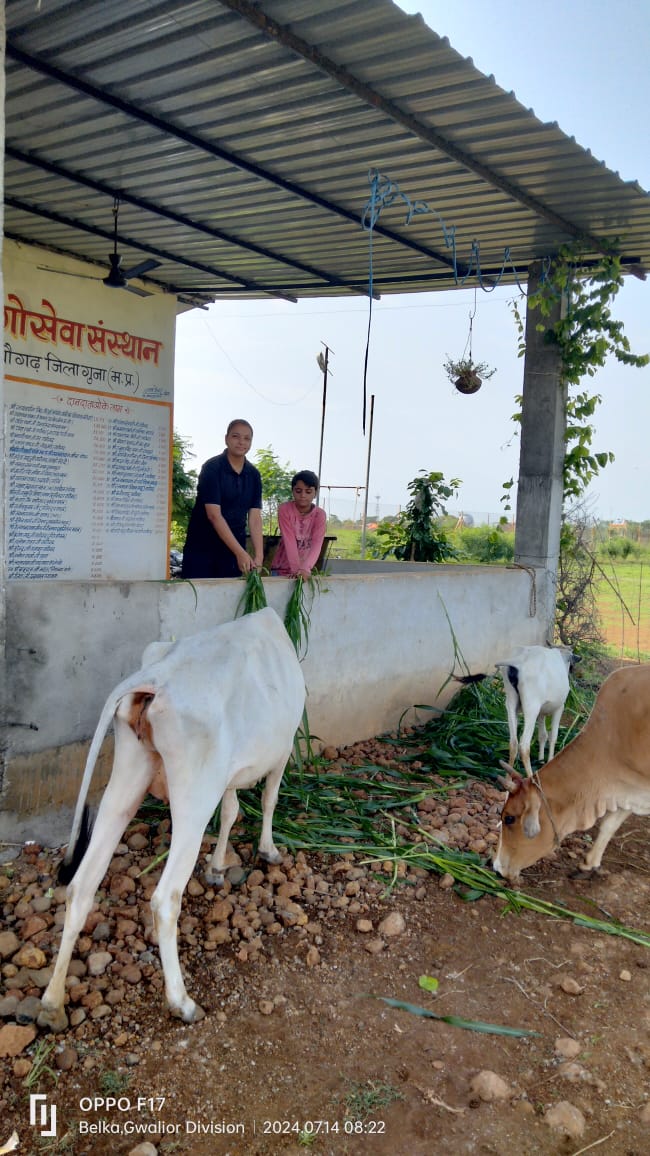 गौशाला 21